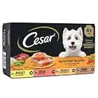 CESAR Repas pour Chien - 24 Barquettes (Lot de 6 Packs de 4x150g) - Pâtée pour Chien en Terrine au Coeur de Légumes - au Boeuf / Poulet / Volaille / Dinde, avec des Ingrédients Naturels