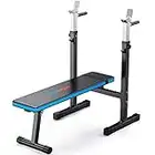 WINNOW Adjustable Weight Lifting Bench with Dip Station Folding Heavy Duty Workout Home Training Gym Multiuse