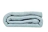 Linteum Textile Supply Leno Weave Ice Grey Blanket, Queen 100% Cotton, Lightweight, Warm, Extra-Fluffy, Premium and Durable Soft & Cozy Bed Blanket for Bed, Couch, Sofa Throw for All Season