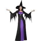 amscan 9908295 Erwachsene Damen Klassische lila Hexe Verkleidung Halloween Kostüm & Hut Buchwoche Outfit (UK Kleid Größe 44-46)