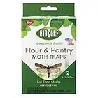 Springstar S202 Flour and Pantry Moth Trap