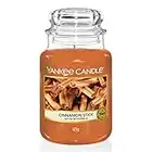 Yankee Candle Vela en Frasco, Rojo, Grande, 623