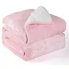 Alomidds Weighted Blanket (60"x80",20lbs Queen Size Pink), Sherpa Weighted Blankets for Adults and Kids, Fluff Soft Heavy Blanket with Glass Beads