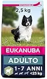 Eukanuba Cibo secco per cani per cani adulti attivi di taglia piccola e media, ricco di agnello e riso, 2,5 kg