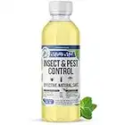 Mighty Mint Insect & Pest Control Peppermint Concentrate 8 oz - Makes 1 Gallon - Natural Formula Kills and Prevents Spiders, Ants, Flying Insects, and More