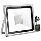 wowspeed Foco LED Exterior con Enchufe 100W,Super Brillante 10000LM Foco Exterio,6500K Blanco Frío LED Luz Foco,Luz de Seguridad Impermeable IP65,Proyector Foco LED para Garaje,Patio,Jardín