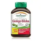 Ginkgo Biloba 4,000 mg - Gluten-Free, 90 Count (Pack of 1)