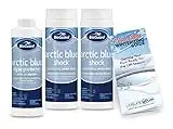 BioGuard Arctic Blue Swimming Pool Winterizing Chemical Kit - for Large Pools (24,000 Gallons)