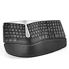 Nulea Wireless Ergonomic Keyboard, 2.4G Split Keyboard with Cushioned Wrist and Palm Support, Arched Keyboard Design for Natural Typing, Compatible with Windows/Mac