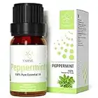 ASAKUKI Peppermint Essential Oil, Natural Peppermint-Oil 10mL for Sharpening Concentration & Soothing Aches, Premium Therapeutic Grade, Cruelty Free, Mint Essential Oil for Aromatherapy - by YAHIME