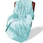 Alomidds Weighted Blanket (60"x80",15lbs Queen Size - Teal),Weighted Blankets for Adults and Kids,Cooling Breathable Soft and Comfort,Heavy Blanket Microfiber Material with Glass Beads