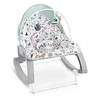 Fisher-Price GMD21 Deluxe Infant-to-Toddler Rocker, Multi-Coloured