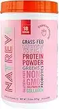 Natreve Whey Protein - Strawberry Shortcake 702g