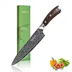 FineTool Chef Knife, 8 inch Japanese Professional Chef's Knives 7Cr17 Stainless Steel with pakkawood Wood, Sharpest Cooking Knife Best Choice for Home Kitchen and Restaurant