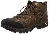 Merrell Men's Moab 2 Mid Gtx Hiking Boot, Earth, 10.5 M US