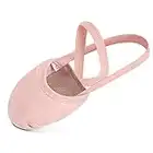 Chaussures de Danse Classique Demi Pantoufle de Ballet Rythmique Gymnastique Chaussons pour Femme et Fille Rose Medium