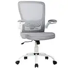 Home Office Chair Ergonomic Desk Chair Mesh Computer Chair with Support Armrest Ergonomic Chair Executive Rolling Swivel Chair Adjustable for Women&Men (Gray)