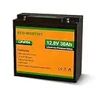 ECO-WORTHY 12V Lithium Battery 30Ah Rechargeable LiFePO4 Lithium Ion Phosphate Deep Cycle Battery with BMS Protection for Trolling Motor, Fish Finder, Golf Trolley, Kids Scooters, Power Wheels