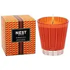 NEST Fragrances Vela clásica - Chai de calabaza, 8 onzas