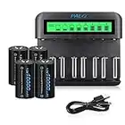 CITYORK LCD Universal Battery Charger, For Batteries 8 AA/AAA or 4 C/D, Independent Charging Channel by Fast Charger - with 4 * D Cell 10000mAh Batteries