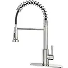 ARRISEA Kitchen Faucets, Kitchen Sink Faucet with 10 inches Deck Plate for 1 or 3 Holes, Brushed Nickel Stainless Steel Single Handle Sink Faucets with Upgraded Pull Down Sprayer