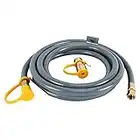 Natural Gas Grill Hose with 3/8" Male Flare Quick Connect/Disconnect - 3/8inch Female Flare Adapter for Outdoor NG/Propane Appliance - CSA Certified (12FT)