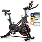 LIJIUJIA Exercise Bike, Stationary Indoor Cycling Bike for Home, Smart Bluetooth Spin bike LCD Monitor & Ipad Holder for Cardio Workout Cycle Bike Fitness Machine with Knee Pads