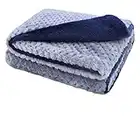 furrybaby Premium Fluffy Fleece Dog Blanket, Soft and Warm Pet Throw for Dogs & Cats(60x80cm, Blue)