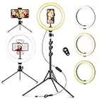 Aro de Luz con Trípode Alto (Altura Total 1,8 m), 10.2" Ring Light con Control Remoto, Aros de Luz para Móvil TIK Tok, Anillo de Luz LED para Fotografía, Maquillaje, Selfie, Youtube, Vídeo