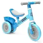 Bakeling Balance Bike 2-4 Year Old, Perfect, Sturdy, Steady Balance Bike for Toddlers 2 3 4 Year olds, Easy to Put Together, Well Crafted, Bike for 2-4 Boys Girls (Blue)