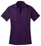 Port Authority Women's Wicking Performance Polo Shirt