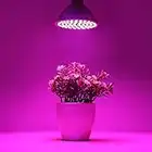 Frcolor E27 6 W 72 LEDs Lampe Plante Croissance Ampoule croissance Intérieur Jardin Lumière Led Lampe Pour Plantes d'intérieur Hydroponique