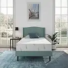 NapQueen Anula, Twin 8'' Green Tea Memory Foam Mattress, Bed in a Box