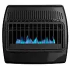 Dyna-Glo 30,000 BTU Blue Flame Thermostatic Garage Vent Free Wall Heater, Black