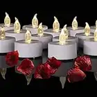 Battery Operated Flameless LED Tea Lights Candles 24-Pack Realistic Flickering Candle with Warm White Bulb Light for Christmas Halloween Decoration,Festivals,Weddings (24 Pack Warm White)