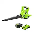 Greenworks 40V (185 MPH / 340 CFM / 75+ Compatible Tools) Cordless Brushless Leaf Blower / Vacuum, 4.0Ah Battery and Charger Included