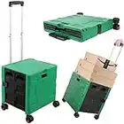 Carrito de la compra para el hogar y la cocina, práctico, portátil, duradero, bolsas de la compra, cestas y carro, mango telescópico ajustable con tapa oculta, con 4 ruedas giratorias (verde/negro)