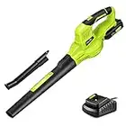 SnapFresh Leaf Blower, 20V Leaf Blower Cordless w/Battery & Charger, Electric Leaf Blower for Lawn Care, Battery Powered Leaf Blower Lightweight for Leaf/Dust Blowing (Green)