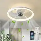 LMiSQ Modern Ceiling Fans with Lights Reversible Fan with Remote 50cm Smart Ceiling Fan Lighting Timing 6 Speeds Low Profile Ceiling Fan with Light Dimmable LED Fan Light Flush Mount for Bedroom