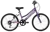 Discount Kids Girls Bike Enchant 20' Wheel Mountain Bike 6 Speed Purple Pink Age 7+