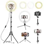 13" Selfie Ring Light with Tripod Stand & Phone Holder, 74"/187cm Tall Large LED Ringlight Dimmable 3-Color Floor & Desk Circle Lights for Makeup TikTok YouTube Video Vlog Live Streaming Zoom Meeting