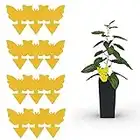 Coocnh 12 Pack Sticky Fruit Fly and Fungus Gnat Trap Yellow Sticky Bug Insect Killer for Indoor and Outdoor