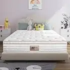 BedStory Mattress, 8Inch Twin Mattress Hybrid Spring Memory Foam Mattress Single Size Euro Top Design Pocketed Spring Bamboo Charcoal Foam Bed Mattress Pressure Relief CertiPUR-US (Twin, 38 * 74Inch)