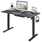 FLEXISPOT Essential Electric Standing Desk Height Adjustable Standing Desk Sit Stand Desk Adjustable Desk Stand Up Desk for Home Office (100 * 60cm, Black Frame+ Black Desktop)