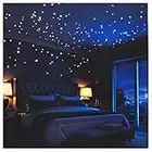 Glow in The Dark Stars Wall Stickers,252 Adhesive Dots and Moon for Starry Sky, Decor for any Room by LIDERSTAR,Bright and Realistic.