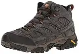 Merrell Men's Moab 2 Mid Wp Hiking Boot, Beluga, 8 M US