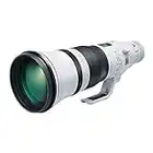 Canon EF 600mm f/4L is III USM Lens