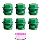 Feelers 3/4" PT Outer Hex Male Threaded PPR Pipe Plug End Cap with Teflon Tape Garden Hose Water Tubing Stopper Prevent Leakage Choke Fitting, Pack of 6, Green