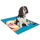 Actask Tapis Rafraîchissant Chien (S-65x50CM), Gel Non Toxique, Système d'auto-Refroidissement, Tapis Fraicheur Chien Chat Refroidisseur pour Animaux de Compagnie