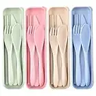 Set di posate da campeggio, set di utensili riutilizzabili con custodia, 4 set di posate in plastica, set di posate portatili, custodia in plastica ecologica per viaggi (colore)